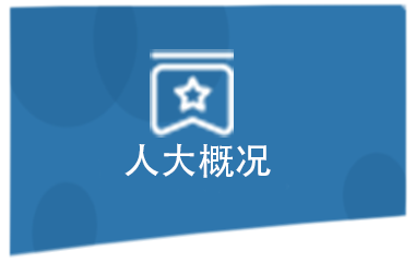 人大概况
