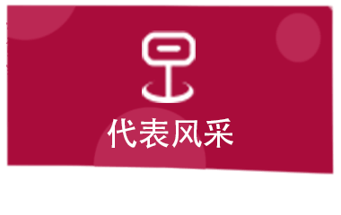 代表风采